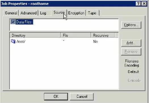 Figure 7. - Source tab in Job Properties 