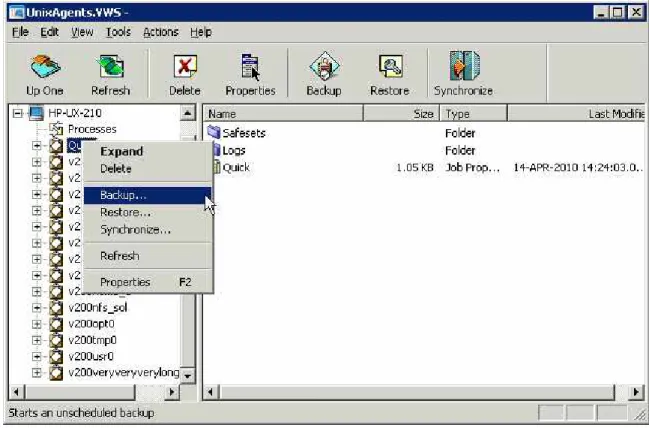 Figure 9. - Ad-hoc backups 