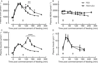 Figure 2. Amino acid and insulin responses to feeding.men after consumption of 15 g of mixed EAA in the absence (FED) and presence (FED + LEU) of a 3 g of leucine top-up after 90 min;*Plasma essential amino acids (EAA; A), nonessential amino acids (NEAA; B