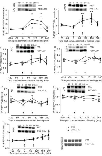 Figure 4. Activity within established signaling pathways