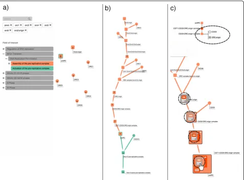 Figure 10 This figure shows a sequence of user interactions from the second use case, Exploring pathway interconnections in the cellcycle