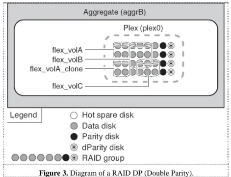 Figure 3. Diagram of a RAID DP (Double Parity). 