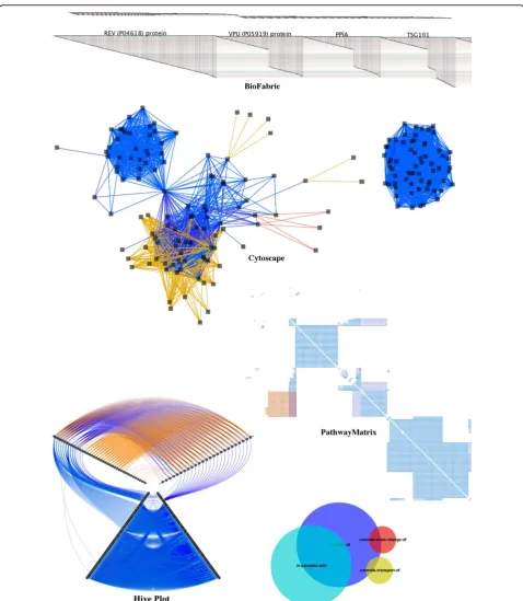 Figure 7 Visualizing protein binary relationships of thepanel), Hive Plot (bottom left panel), and HIV life cycle by different tools: BioFabric (top panel), Cytoscape (middle PathwayMatrix (bottom right panel).