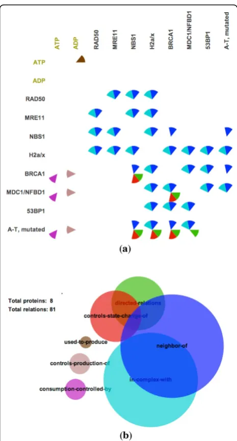 Figure 1 Visualizing the ATM Mediated Phosphorylation ofRepair Proteins pathway: (a) Matrix view of protein binaryrelations (b) Venn diagram summarizing protein binaryrelations.