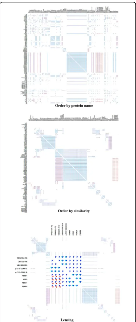 Figure 3 Matrix view of different protein orderings and lensing(last panel) in the Rb-E2F pathway.