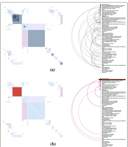 Figure 5 Visualizing the hierarchy of protein complexes in the Rb-E2F pathway: (a) All descendant relationships between complexes(b) Descendant relationships between selected complexes.
