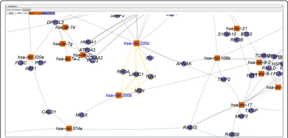 Figure 10 Modified ISOM layout of miRTarVis. In this figure, among predicted targets of hsa-mir-24-2, mRNAs connected to hsa-mir-24-2 witha single link are placed around it