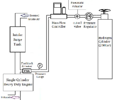 Figure 2. Schematic of Hydrogen Fumigation  