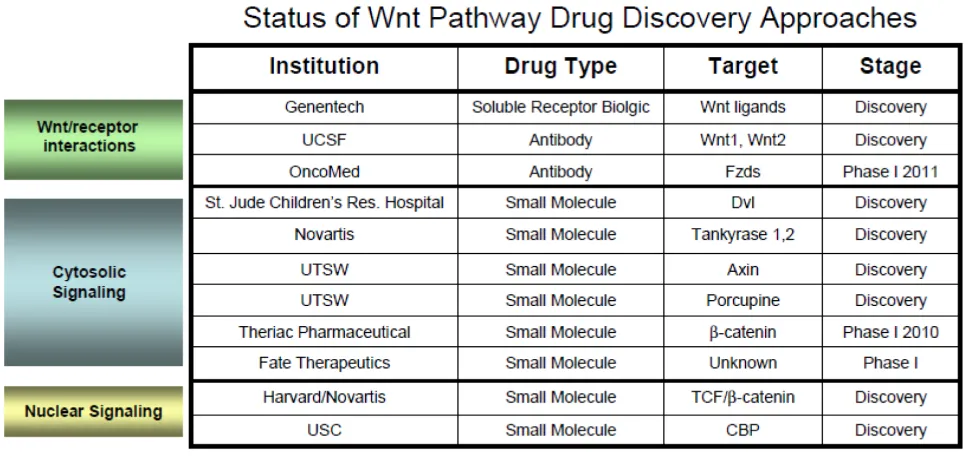 Table 1:  Wnt pathway drug discovery approaches.  A summary of various Wnt therapeutics in early development or Phase I 