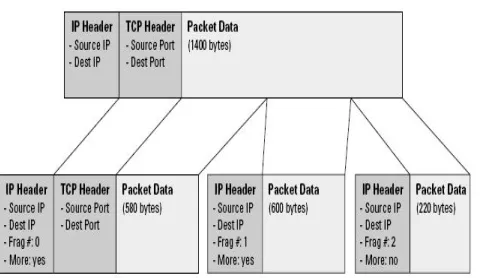 Figure 2.1 TCP Information 