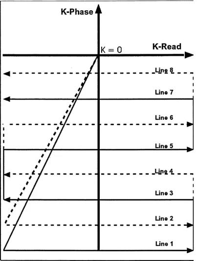 Figure 4.1: The figure shows the acquisition order in k-space of the 2D interleaved EPI 