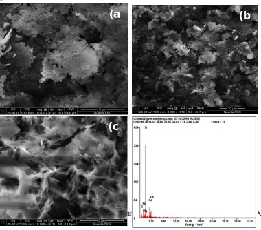 Fig 6 (a-c): SEM micrograph of CdO thin films (a) 10 dip (b) 20 dip (c) 30 dip (d) EDX  