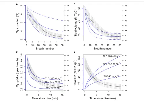 FIGURE 4 | (A,B) Potential effects of oxygen extraction rate �O2 (%) and tidal volume VT (% of total lung capacity, TLC) on the per-breath oxygen consumption(blue line and the left axis) during post-exercise breathing of a hypothetical 1000 kg pilot whale 