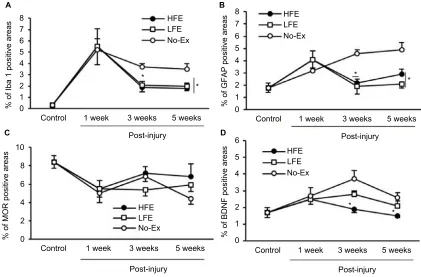 Figure 4 Time course of iba1 (Note:however, Iba1 immunoreactivity in the No-Ex group had decreased, while GFAP immunoreactivity had increased