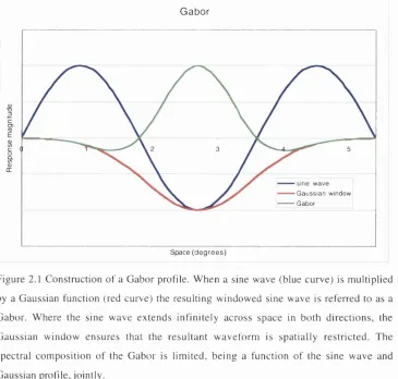 Figure 2.1 Construction of a Gabor profile. When a sine wave (blue curve) is multiplied 