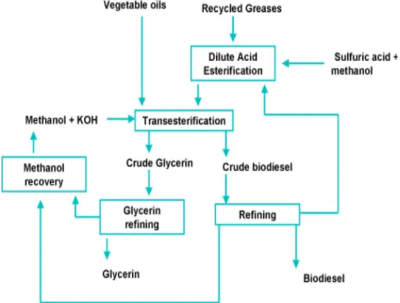 Fig. No.1. Process Flowchart for biodiesel Production 