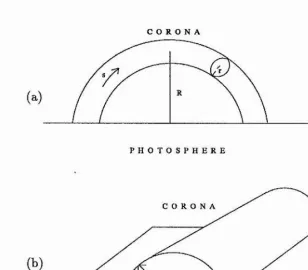 Figure 1.2 : Diagrams of (a) Coronal loop (b) Coronal arcade.