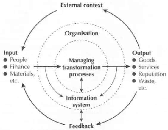 Figure 5 The role of information systems in organizations (Boddy et al.2008, p.6)  