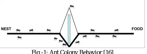 Fig -1: Ant Colony Behavior [16]  The above behavior can be used in networking. A network can be viewed as directed graph imitating the path taken by ants