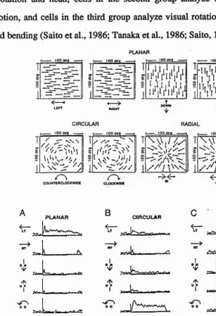 Figure 2.5. Examples of neurons (lower part) that respond to a particular planar, circular or radial whole field flow stimulation (upper part)