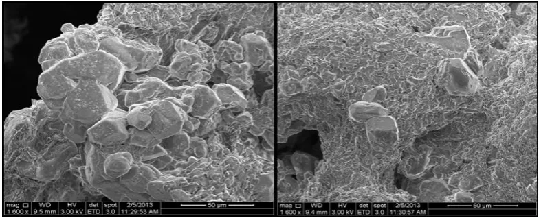 Fig 1. Block of Plus ICE H190PCM packed.  
