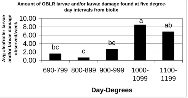 Figure 4.  Amount of OBLR larvae and/or larvae damage found at five degree-day  intervals from biofix