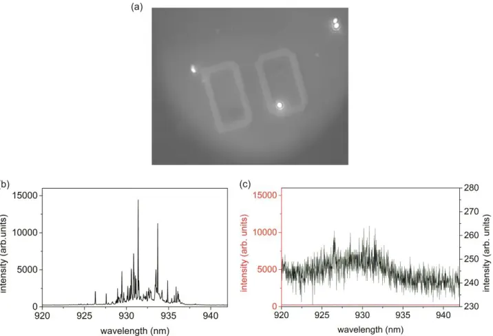 Fig. 1. (a) Surface image of CCD camera under white light excitation of the sample and use of a cold light mirror, revealing spots of very intense QD emission