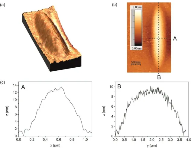 Fig. 2. (a), (b) Atomic force microscopy measurements reveal oval defects. (c) Cross sectional height distribution of the oval defects