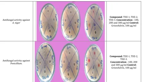 Fig. 1-5: Antibacterial activity of synthesized thiadiazole derivatives   