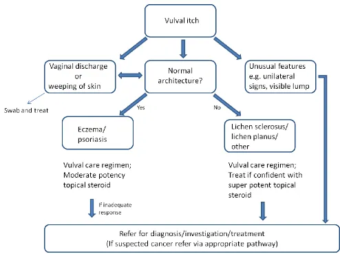 Fig 4– algorithm for the management of vulval itching  