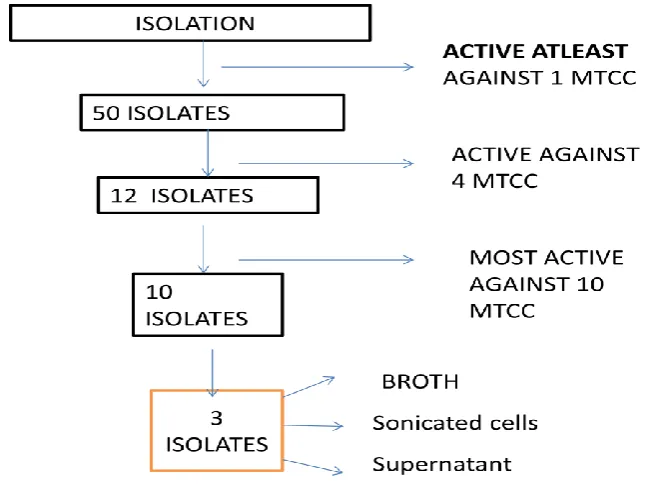 Fig. III:  
