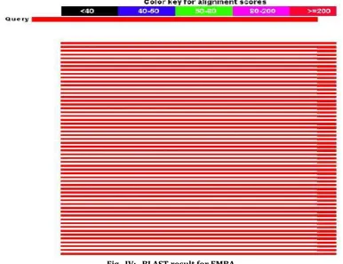 Fig.  IV:   BLAST result for EMBA 