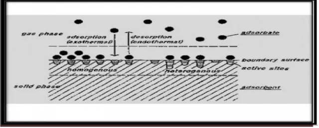 Fig. 2.1 A diagram explaining the adsorption phenomenon 