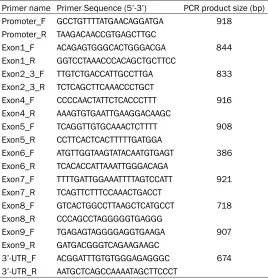 Table 1. Primers used to amplify regions of CYP2C19