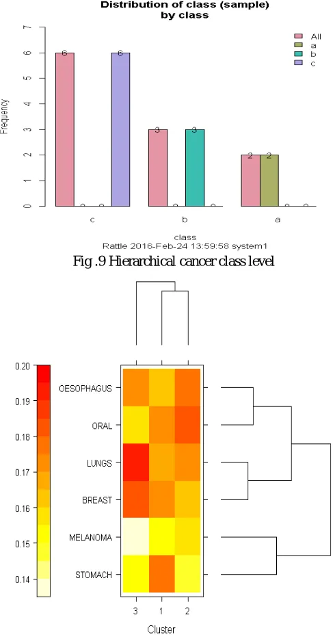 Fig .9 Hierarchical cancer class level