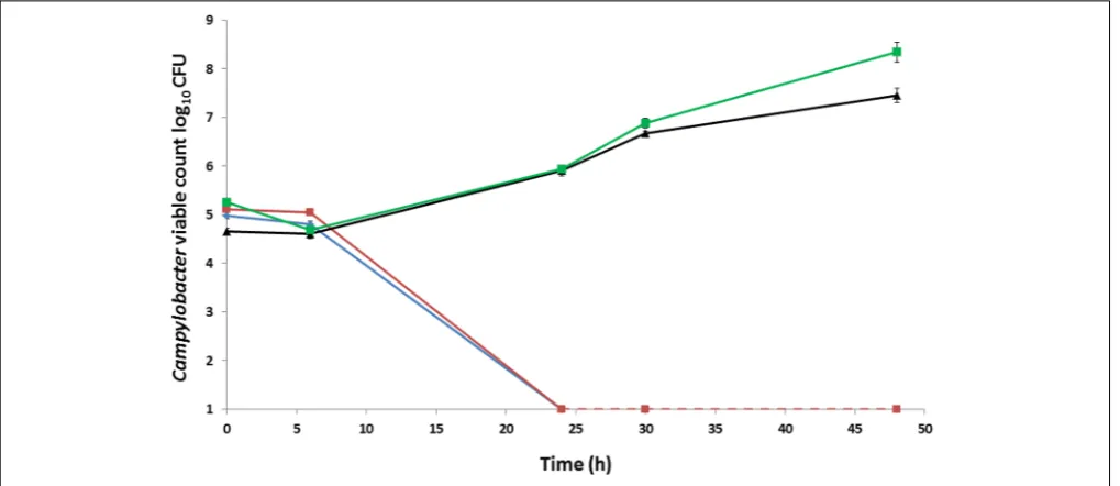 FIGURE 1 | Growth and survival of Campylobacter coli strains incubated aerobically on BA at 37◦C