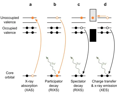 FIG. 2. Relevant processes. a XAS resonant excitation of a core electron to an unoccupied state