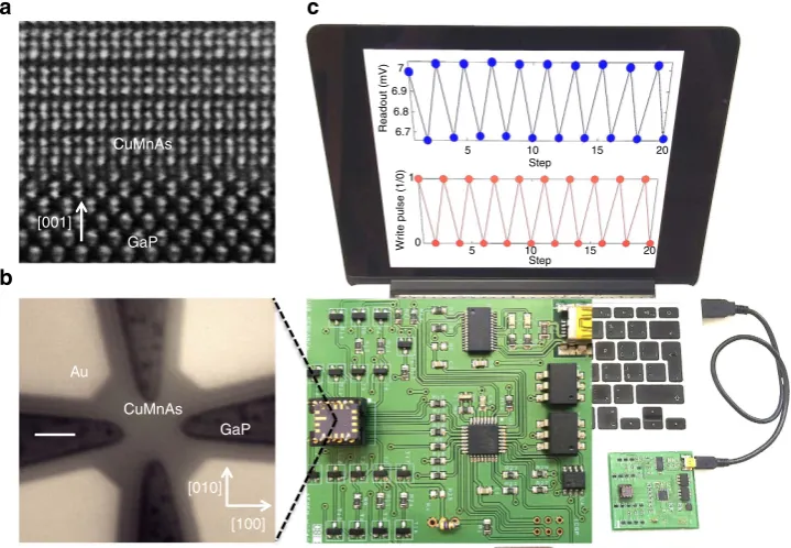Figure 1 | Antiferromagnetic microelectronic memory device. (CuMnAs epilayer grown on a GaP substrate