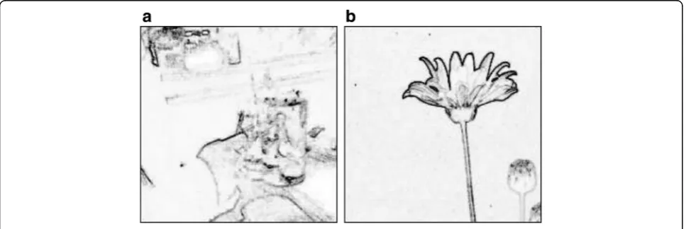 Fig. 5 Examples of different edge distributions [30]: (a) an amateur photo, (b) a professional photo
