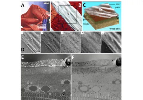 Figure 4 illustrates how CXL allows high-resolution im-aging of the local sub-surface microstructure in paintingsin a non-invasive and non-destructive way