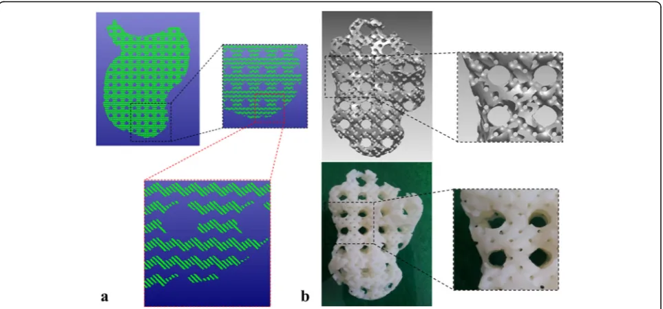 Fig. 12 Porous scaffold design by the distance field and TPMS:composed of P-surface internal architecture [ a Schematic diagram of the distance field