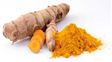 Fig. 2: Turmeric Rhizome & Powder  
