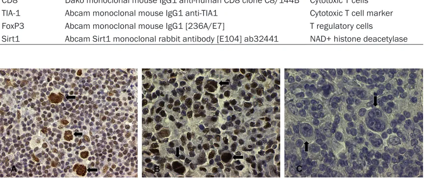 Table 1. Immunohistochemical protein markers and antibody specifics