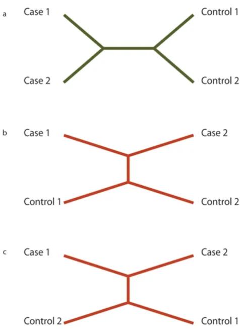 Figure 1Possible tree topologiesPossible tree topologies. Figure 1a represents a history consistent with the phenotypic distribution