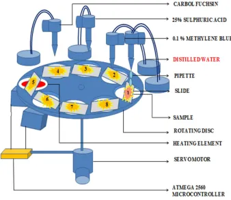Fig 6: Rinsing the samples (Step 4, 6, 8) 