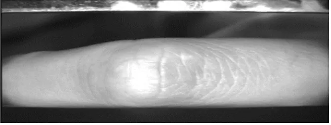 Fig. 1 Classification of Biometric System Finger knuckle is the outer surface of finger, it is also known as dorsum of the hand