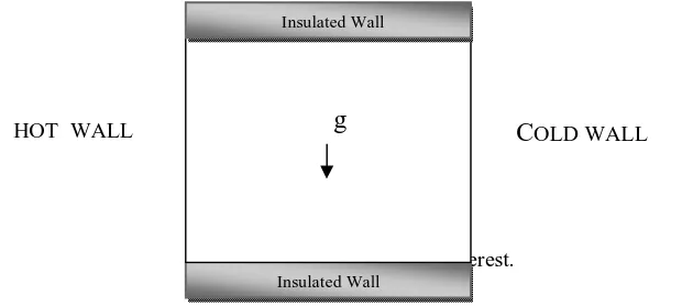 Figure 1. Flow domain of interest.                  Insulated Wall 