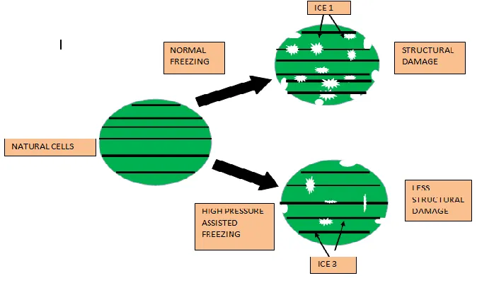 Fig 2: Schematic representation of high pressure processing 