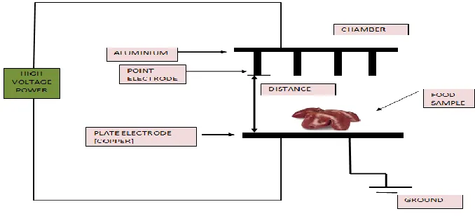 Fig 6: Schematic representation of high voltage electric field freezing 