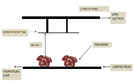 Fig 7: Schematic representation of radio frequency freezing 